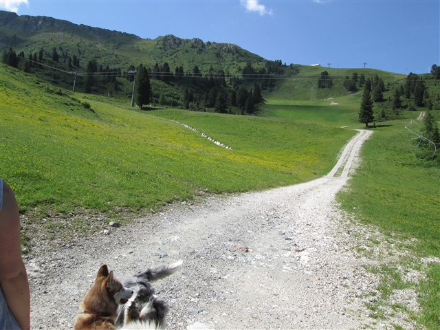 Stradina si arrampica erta tra i verdi prati.